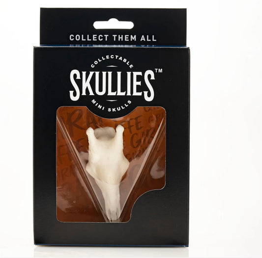 Giraffe Miniature Replica Skull