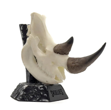 Rhino Miniature Replica Skull