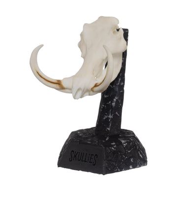 Warthog Miniature Replica Skull