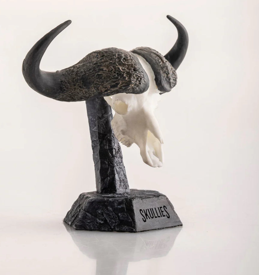 Cape Buffalo Miniature Replica Skull