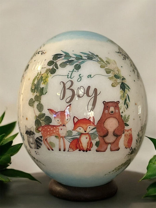 It's a Boy Ostrich Egg Gift