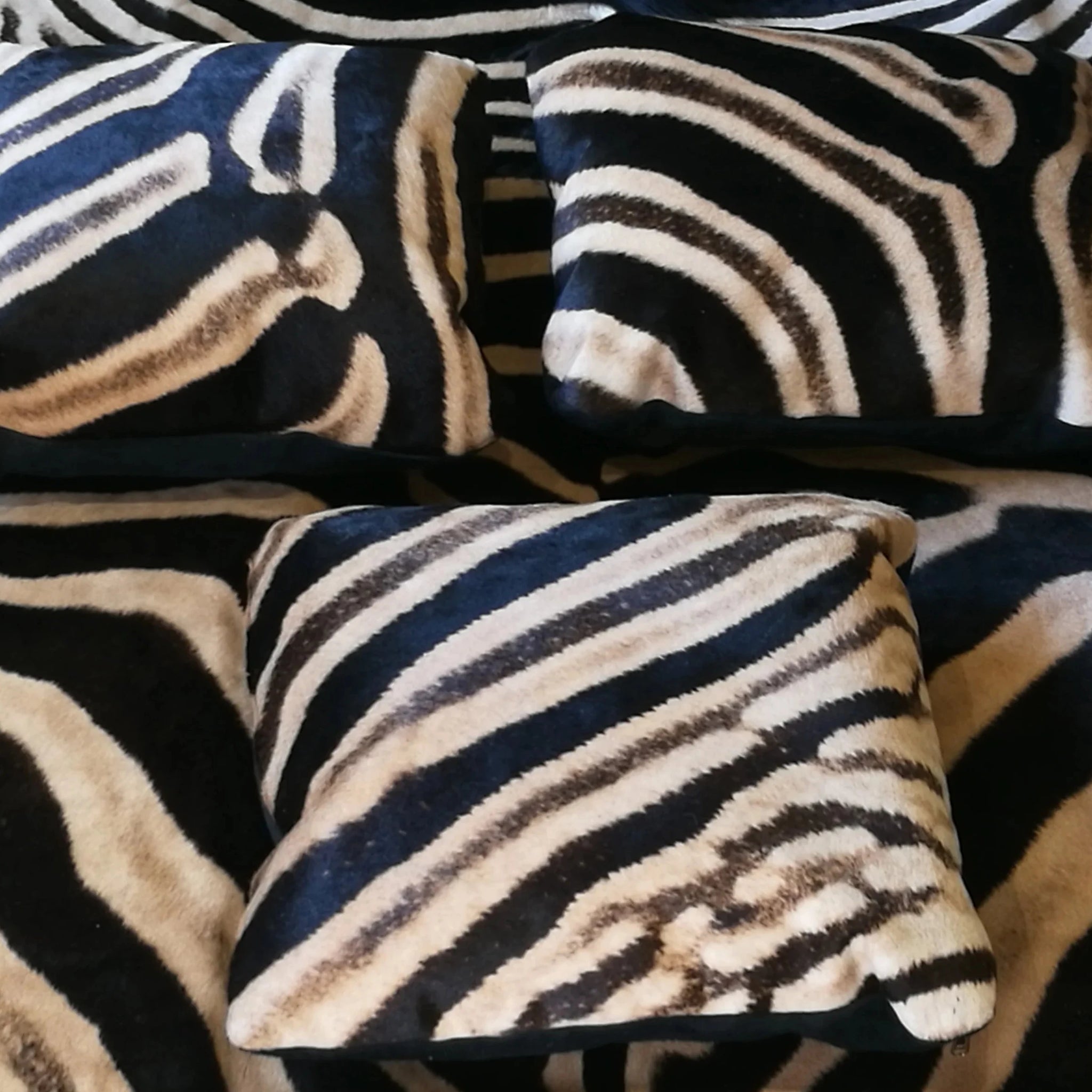 Zebra Skin Cushion Covers